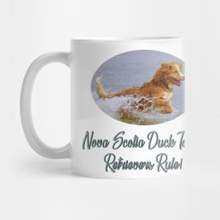 Nova Scotia Duck Tolling Retrievers Rule! Mug